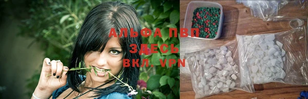 ПСИЛОЦИБИНОВЫЕ ГРИБЫ Новозыбков