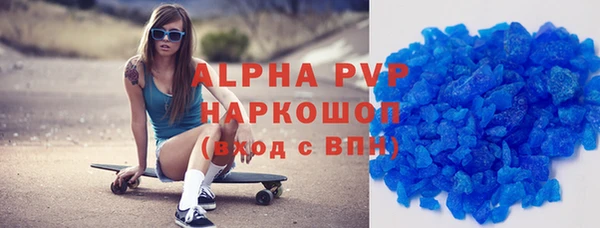 ПСИЛОЦИБИНОВЫЕ ГРИБЫ Новозыбков