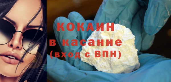 ПСИЛОЦИБИНОВЫЕ ГРИБЫ Новозыбков