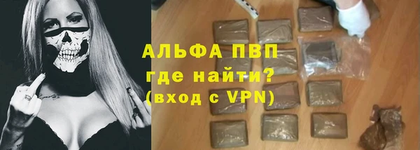 ПСИЛОЦИБИНОВЫЕ ГРИБЫ Новозыбков
