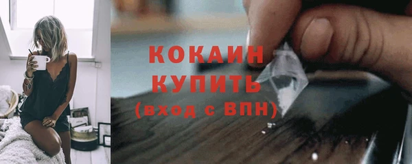 ПСИЛОЦИБИНОВЫЕ ГРИБЫ Новозыбков
