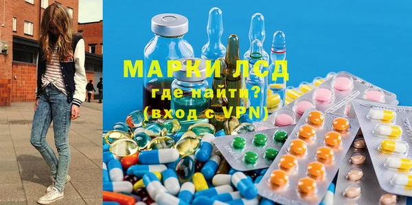 ПСИЛОЦИБИНОВЫЕ ГРИБЫ Новозыбков